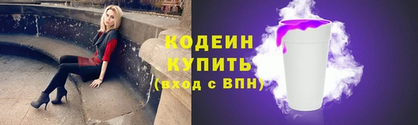 твердый Карпинск