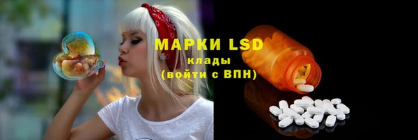 спиды Каменногорск