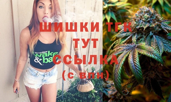 спиды Каменногорск