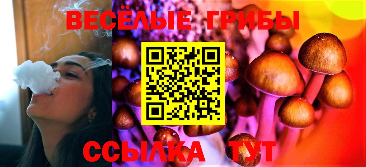 Ноябрьск  Псилоцибиновые грибы Psilocybine cubensis  купить   Вход с VPN  Псилоцибиновые грибы Cubensis 